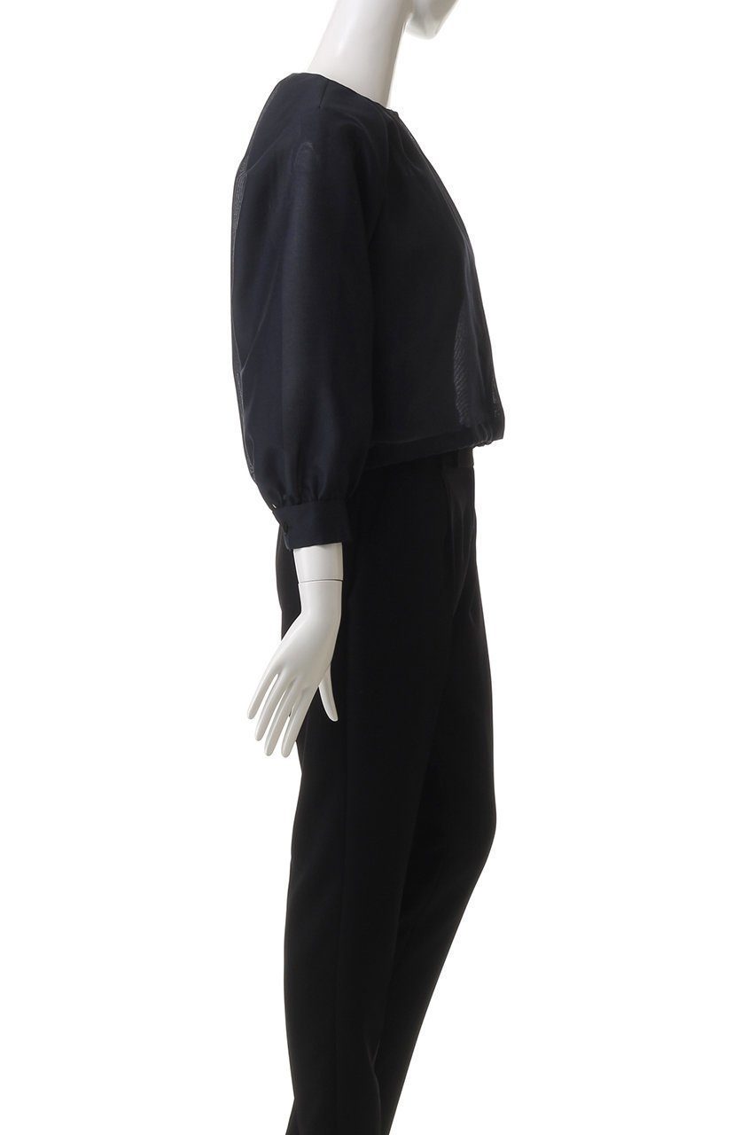 【アナイ/ANAYI】のハードオーガンジーノーカラーBZ 人気、トレンドファッション・服の通販 founy(ファニー) 　ファッション　Fashion　レディースファッション　Fashion for Women　アウター　Coat / Outerwear Collection　レディースジャケット・軽アウター　Jackets　ブルゾンジャケット・スポーティアウター　Blouson Jackets　おすすめ　Recommended / Our Picks　オーガンジー　Organza Fabric　ジャケット　Jacket, Outerwear　トレンド　Trend, Trending Now　バルーン　Balloon, Balloon Silhouette　ブルゾン　Blouson, Bomber Jacket　other-3|ID: prp329100004422006 ipo3291000000032959059