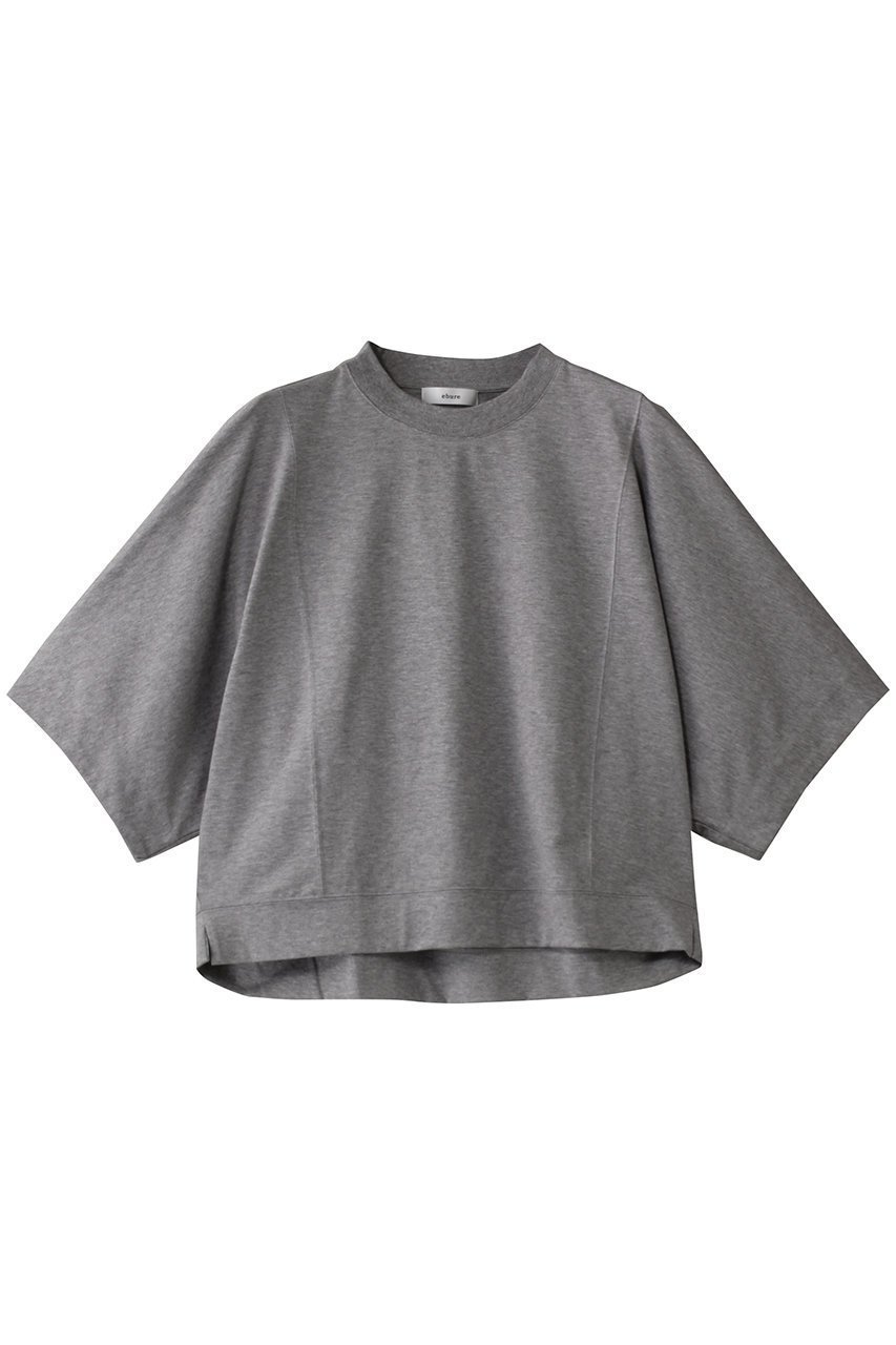 【エブール/ebure】のハイゲージソフトコットン クルーネックカットソー インテリア・キッズ・メンズ・レディースファッション・服の通販 founy(ファニー) 　ファッション　Fashion　レディースファッション　Fashion for Women　トップス・カットソー　Cut & Sew Tops　シャツ・ブラウス・オフィスカジュアル　Elegant Blouses & Button-Ups　ロングTシャツ・Tシャツ　Longline T-Shirts & Tees　カットソー・ベーシックTシャツ　Cut-and-Sewn Tops / Stretch Tees & Basics　インド　Indian Textile　カットソー　Cut and Sewn Top　ショート　Short, Short Length　スリーブ　Sleeve, Long Sleeve / Short Sleeve　フォルム　Silhouette, Form　ボックス　Boxy, Box Shape　ボトム　Bottoms, Lower Wear　トップグレー|ID: prp329100004423957 ipo3291000000032868749