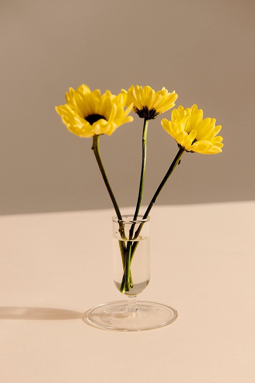 【ヘイ/HAY / GOODS】のTiny Vase 人気、トレンドファッション・服の通販 founy(ファニー) 　エレガント 上品　Elegant　ガラス　Glass, Glassware　コンパクト　Compact, Small Size　シンプル　Simple, Minimal　テーブル　Table, Dining Table　フラワー　Flower, Floral　other-2|ID: prp329100004430169 ipo3291000000035472368