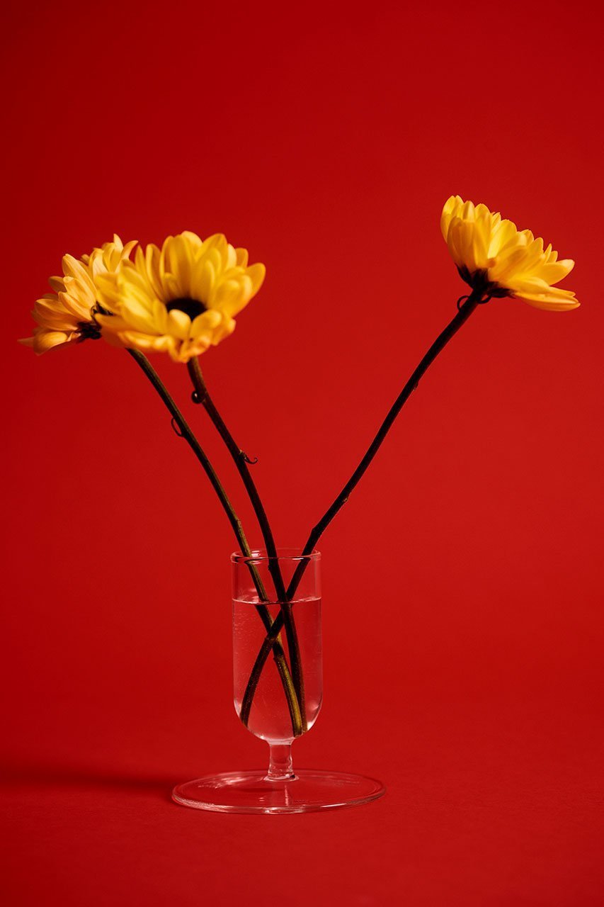 【ヘイ/HAY / GOODS】のTiny Vase 人気、トレンドファッション・服の通販 founy(ファニー) 　エレガント 上品　Elegant　ガラス　Glass, Glassware　コンパクト　Compact, Small Size　シンプル　Simple, Minimal　テーブル　Table, Dining Table　フラワー　Flower, Floral　other-4|ID: prp329100004430169 ipo3291000000035472370
