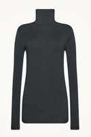 【ウォルフォード/Wolford】の53325 THE MERINO TOP LONG SLEEVES タートルネックトップ 人気、トレンドファッション・服の通販 founy(ファニー) ファッション Fashion レディースファッション Fashion for Women トップス・カットソー Cut & Sew Tops シャツ・ブラウス・オフィスカジュアル Elegant Blouses & Button-Ups ロングTシャツ・Tシャツ Longline T-Shirts & Tees カットソー・ベーシックTシャツ Cut-and-Sewn Tops / Stretch Tees & Basics タートルネック・ハイネックトップス Turtlenecks & High-Neck Tops なめらか Smooth, Silky Texture インナー Innerwear スリーブ Sleeve, Long Sleeve / Short Sleeve タートル Turtleneck, Turtle Collar タートルネック Turtleneck, High Neck フィット Fit, Slim Fit ロング Long, Long-Length |ID:prp329100004431485