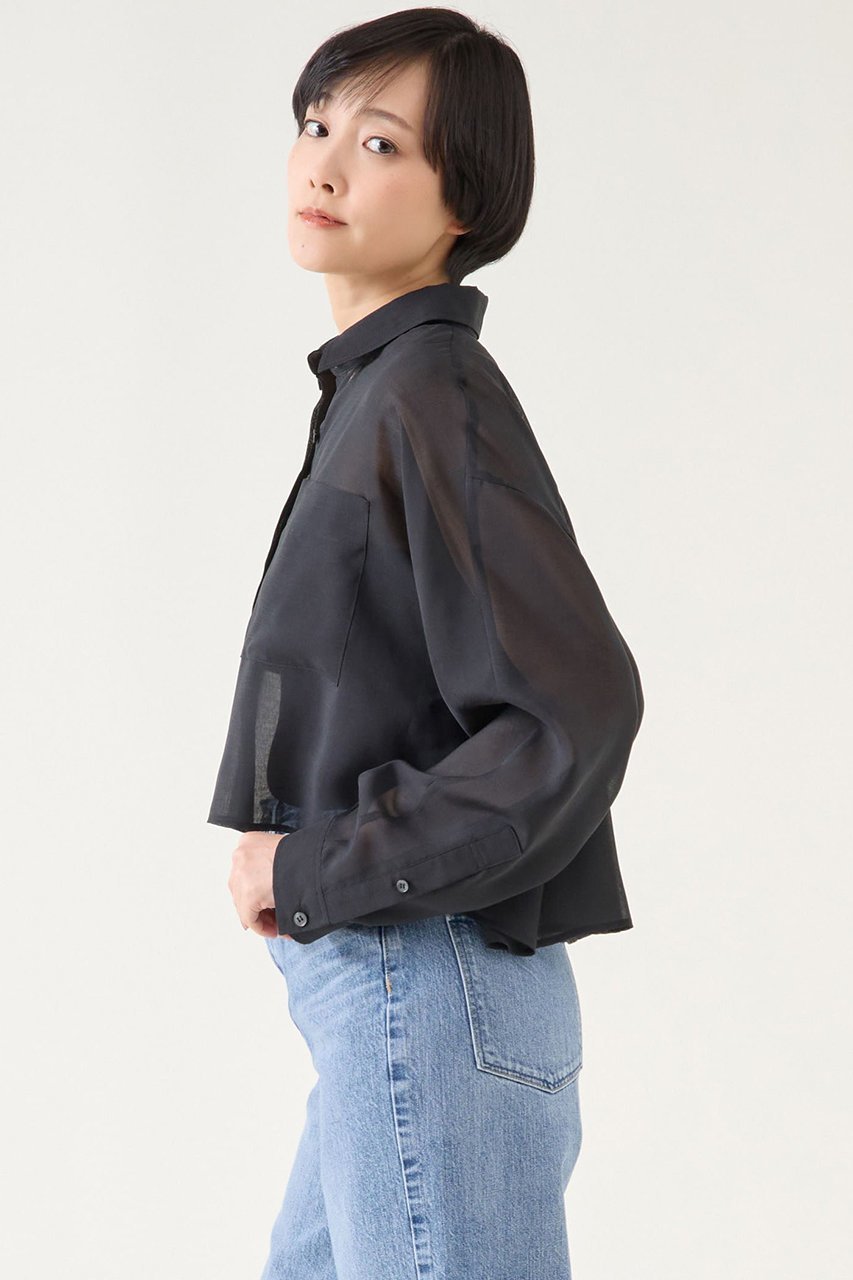 【マルティニーク/martinique】のドライシアーブラウス 人気、トレンドファッション・服の通販 founy(ファニー) 　ファッション　Fashion　レディースファッション　Fashion for Women　トップス・カットソー　Cut & Sew Tops　シャツ・ブラウス・オフィスカジュアル　Elegant Blouses & Button-Ups　おすすめ　Recommended / Our Picks　シアー　Sheer, See-Through　ショート　Short, Short Length　スリーブ　Sleeve, Long Sleeve / Short Sleeve　ノースリーブ　Sleeveless, No-Sleeve　フレア　Flare, Flared　ロング　Long, Long-Length　再入荷　Restock / Back in Stock　羽織　Haori, Light Jacket　other-2|ID: prp329100004431510 ipo3291000000032706081