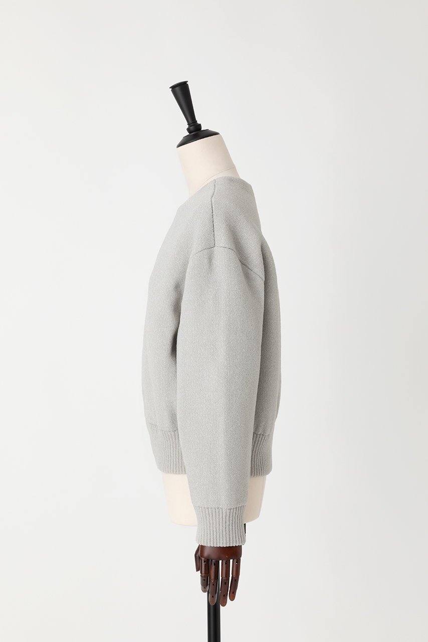 【オーヴィル/EAUVIRE】のダブルフェイスラメブルゾン 人気、トレンドファッション・服の通販 founy(ファニー) 　ファッション　Fashion　レディースファッション　WOMEN　アウター　Coat Outerwear　ジャケット　Jackets　ブルゾン　Blouson/Jackets　カッティング　Cutting　ジャケット　Jacket　ダブル　Double　フェイス　Face　フォルム　Form　ブルゾン　Blouson　人気　Popularity　定番　Standard　春　Spring　軽量　Lightweight　other-2|ID: prp329100004440215 ipo3291000000031256578