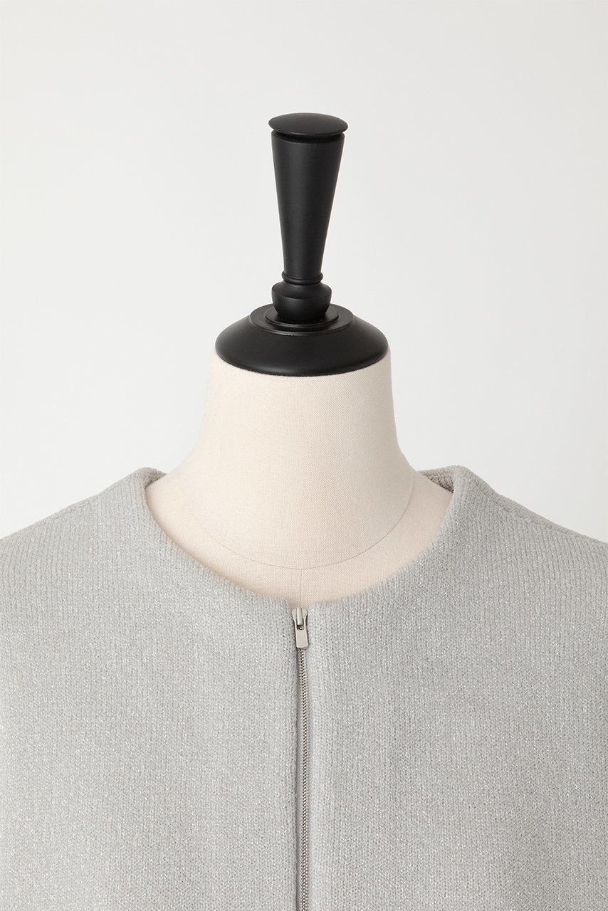 【オーヴィル/EAUVIRE】のダブルフェイスラメブルゾン 人気、トレンドファッション・服の通販 founy(ファニー) 　ファッション　Fashion　レディースファッション　WOMEN　アウター　Coat Outerwear　ジャケット　Jackets　ブルゾン　Blouson/Jackets　カッティング　Cutting　ジャケット　Jacket　ダブル　Double　フェイス　Face　フォルム　Form　ブルゾン　Blouson　人気　Popularity　定番　Standard　春　Spring　軽量　Lightweight　other-4|ID: prp329100004440215 ipo3291000000031256582