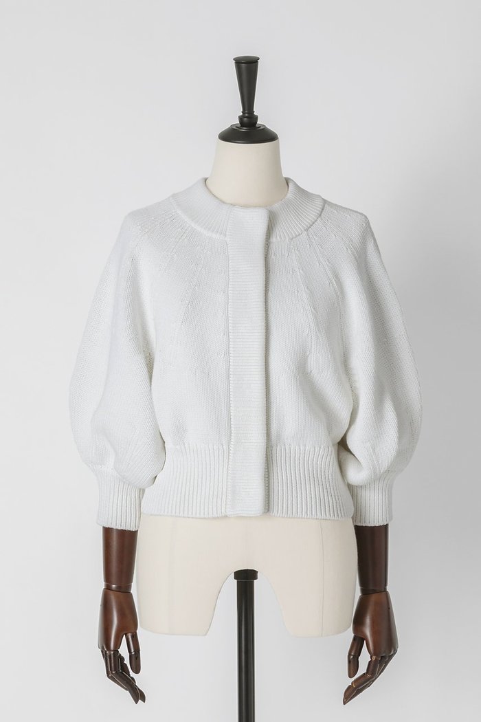 【オーヴィル/EAUVIRE】のパフスリーブカーディガン インテリア・キッズ・メンズ・レディースファッション・服の通販 founy(ファニー) https://founy.com/ ファッション Fashion レディースファッション WOMEN トップス・カットソー Tops/Tshirt ニット Knit Tops カーディガン Cardigans イタリア Italy カーディガン Cardigan シルク Silk スリーブ Sleeve ハイネック High Neck フロント Front NEW・新作・新着・新入荷 New Arrivals |ID: prp329100004440216 ipo3291000000031022201