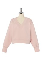 【デイジーリン/DAISY LIN】のミルフィーユ スウェット Lady V Pullover 人気、トレンドファッション・服の通販 founy(ファニー) ファッション Fashion レディースファッション WOMEN トップス・カットソー Tops/Tshirt ニット Knit Tops パーカ Sweats プルオーバー Pullover スウェット Sweat ウォッシャブル Washable シンプル Simple ジャージ Jersey スウェット Sweat ストレッチ Stretch デニム Denim リラックス Relax NEW・新作・新着・新入荷 New Arrivals 軽量 Lightweight thumbnail デイジーピンク|ID: prp329100004442559 ipo3291000000031050766