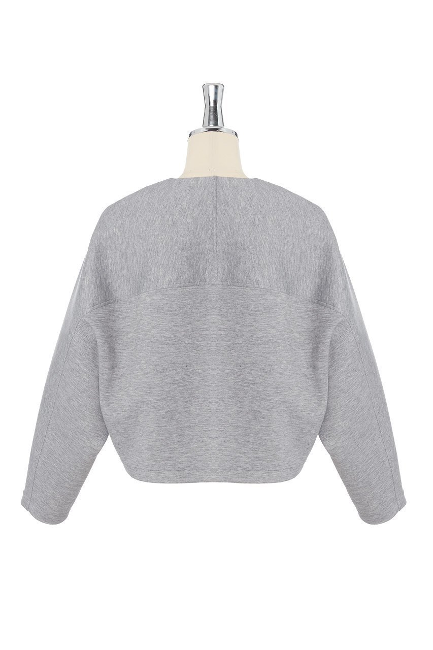【デイジーリン/DAISY LIN】のミルフィーユ スウェット Stylish Blouson 人気、トレンドファッション・服の通販 founy(ファニー) 　ファッション　Fashion　レディースファッション　Fashion for Women　アウター　Coat / Outerwear Collection　レディースジャケット・軽アウター　Jackets　ブルゾンジャケット・スポーティアウター　Blouson Jackets　ウォッシャブル　Machine Washable　エレガント 上品　Elegant　ショート　Short, Short Length　ジャケット　Jacket, Outerwear　スウェット / スエット　Sweatshirt, Sweatwear　ストレッチ　Stretch, Stretchy Fabric　スリーブ　Sleeve, Long Sleeve / Short Sleeve　フォルム　Silhouette, Form　ブルゾン　Blouson, Bomber Jacket　軽量　Lightweight, Ultra Light　other-2|ID: prp329100004442560 ipo3291000000032954175