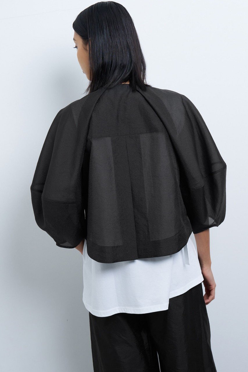 【ランバン オン ブルー/LANVIN en Bleu】のシアージップアップブルゾン 人気、トレンドファッション・服の通販 founy(ファニー) 　ファッション　Fashion　レディースファッション　WOMEN　アウター　Coat Outerwear　ジャケット　Jackets　ブルゾン　Blouson/Jackets　オーガンジー　Organdy　シルク　Silk　ジャケット　Jacket　パターン　Pattern　ファブリック　Fabric　ブルゾン　Blouson　夏　Summer　other-5|ID: prp329100004449466 ipo3291000000031325263