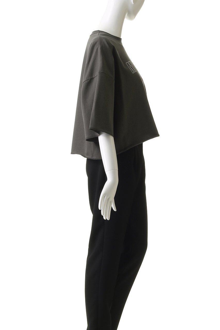 【サクラ/SACRA】のエクストラファインフリーストップス 人気、トレンドファッション・服の通販 founy(ファニー) 　ファッション　Fashion　レディースファッション　Fashion for Women　トップス・カットソー　Cut & Sew Tops　シャツ・ブラウス・オフィスカジュアル　Elegant Blouses & Button-Ups　レディースパーカー・カジュアルフーディー　Casual Hoodies & Sweatshirts　ロングTシャツ・Tシャツ　Longline T-Shirts & Tees　スウェット・クルーネックトップス　Sweatshirts & Crewnecks / Relaxed Fit Sweat Tops　カットソー・ベーシックTシャツ　Cut-and-Sewn Tops / Stretch Tees & Basics　ショート　Short, Short Length　トレンド　Trend, Trending Now　バランス　Balance, Style Balance　フロント　Front, Front Design　プリント　Print, Printed Pattern　マキシ　Maxi, Full Length　ワイド　Wide, Wide Fit　other-3|ID: prp329100004454689 ipo3291000000032808561