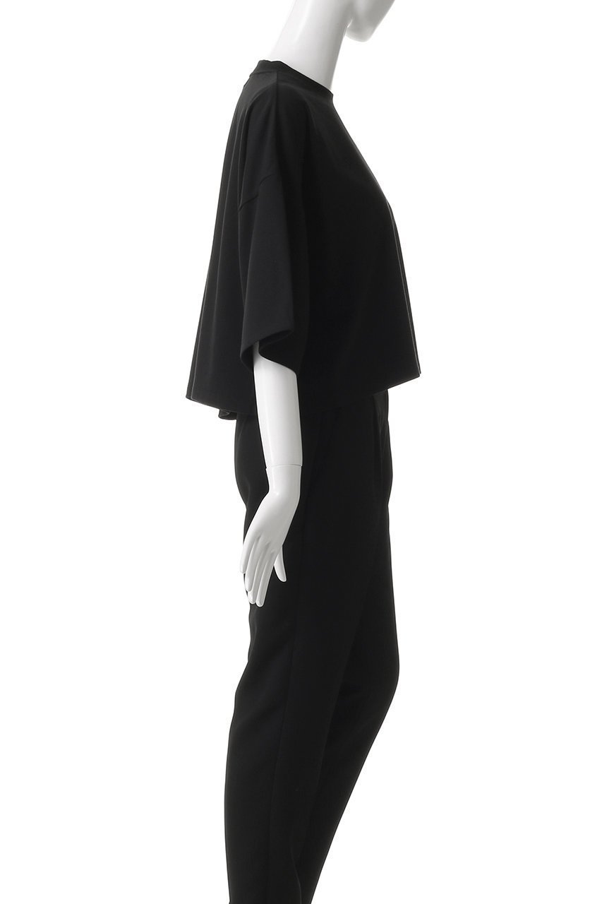 【サクラ/SACRA】のエクストラファインフリーストップス 人気、トレンドファッション・服の通販 founy(ファニー) 　ファッション　Fashion　レディースファッション　Fashion for Women　トップス・カットソー　Cut & Sew Tops　シャツ・ブラウス・オフィスカジュアル　Elegant Blouses & Button-Ups　ロングTシャツ・Tシャツ　Longline T-Shirts & Tees　カットソー・ベーシックTシャツ　Cut-and-Sewn Tops / Stretch Tees & Basics　2025年　2025　2025-2026秋冬・A/W　Autumn/Winter 2025–26 AW25–26　カットソー　Cut and Sewn Top　クロップド　Cropped, Short Length　スリーブ　Sleeve, Long Sleeve / Short Sleeve　ハーフ　Half, Half-Length　バランス　Balance, Style Balance　ロング　Long, Long-Length　エレガント 上品　Elegant　A/W・秋冬　Autumn/Winter　other-3|ID: prp329100004454689 ipo3291000000033230043