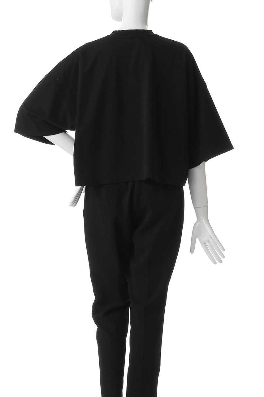 【サクラ/SACRA】のエクストラファインフリーストップス 人気、トレンドファッション・服の通販 founy(ファニー) 　ファッション　Fashion　レディースファッション　Fashion for Women　トップス・カットソー　Cut & Sew Tops　シャツ・ブラウス・オフィスカジュアル　Elegant Blouses & Button-Ups　ロングTシャツ・Tシャツ　Longline T-Shirts & Tees　カットソー・ベーシックTシャツ　Cut-and-Sewn Tops / Stretch Tees & Basics　2025年　2025　2025-2026秋冬・A/W　Autumn/Winter 2025–26 AW25–26　カットソー　Cut and Sewn Top　クロップド　Cropped, Short Length　スリーブ　Sleeve, Long Sleeve / Short Sleeve　ハーフ　Half, Half-Length　バランス　Balance, Style Balance　ロング　Long, Long-Length　エレガント 上品　Elegant　A/W・秋冬　Autumn/Winter　other-4|ID: prp329100004454689 ipo3291000000033230044