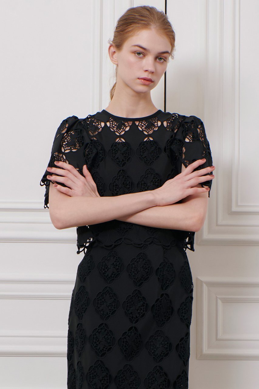 【アルアバイル/allureville】の【LOULOU WILLOUGHBY】タフタシシュウフレアスリーブブラウス 人気、トレンドファッション・服の通販 founy(ファニー) 　ファッション　Fashion　レディースファッション　Fashion for Women　トップス・カットソー　Cut & Sew Tops　シャツ・ブラウス・オフィスカジュアル　Elegant Blouses & Button-Ups　コンパクト　Compact, Small Size　ショート　Short, Short Length　スリーブ　Sleeve, Long Sleeve / Short Sleeve　セットアップ　Set-Up, Coordinated Outfit　タフタ　Taffeta, Structured Fabric　モダン　Modern, Contemporary　モチーフ　Motif, Design Theme　ワイド　Wide, Wide Fit　エレガント 上品　Elegant　再入荷　Restock / Back in Stock　other-5|ID: prp329100004454743 ipo3291000000032705938