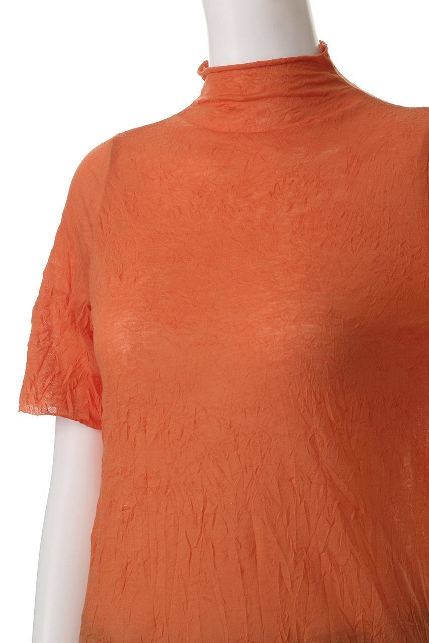 【ミディウミソリッド/MIDIUMISOLID】のsee-through h/neck half slv inner.S インナー 人気、トレンドファッション・服の通販 founy(ファニー) 　ファッション　Fashion　レディースファッション　Fashion for Women　トップス・カットソー　Cut & Sew Tops　シャツ・ブラウス・オフィスカジュアル　Elegant Blouses & Button-Ups　ロングTシャツ・Tシャツ　Longline T-Shirts & Tees　カットソー・ベーシックTシャツ　Cut-and-Sewn Tops / Stretch Tees & Basics　インナー　Innerwear　シアー　Sheer, See-Through　ショート　Short, Short Length　シンプル　Simple, Minimal　スリム　Slim, Slim Fit　スリーブ　Sleeve, Long Sleeve / Short Sleeve　トレンド　Trend, Trending Now　ハイネック　High Neck, Mock Neck　other-5|ID: prp329100004456426 ipo3291000000035061144