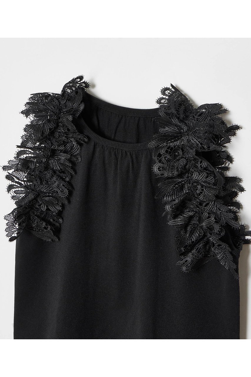 【アルアバイル/allureville】の【LOULOU WILLOUGHBY】アームレースプルオーバー 人気、トレンドファッション・服の通販 founy(ファニー) 　ファッション　Fashion　レディースファッション　WOMEN　トップス・カットソー　Tops/Tshirt　キャミソール / ノースリーブ　No Sleeves　シャツ/ブラウス　Shirts/Blouses　プルオーバー　Pullover　アメリカン　American　ギャザー　Gather　スリーブ　Sleeve　ノースリーブ　No Sleeve　レース　Race　夏　Summer　other-3|ID: prp329100004456430 ipo3291000000031250661