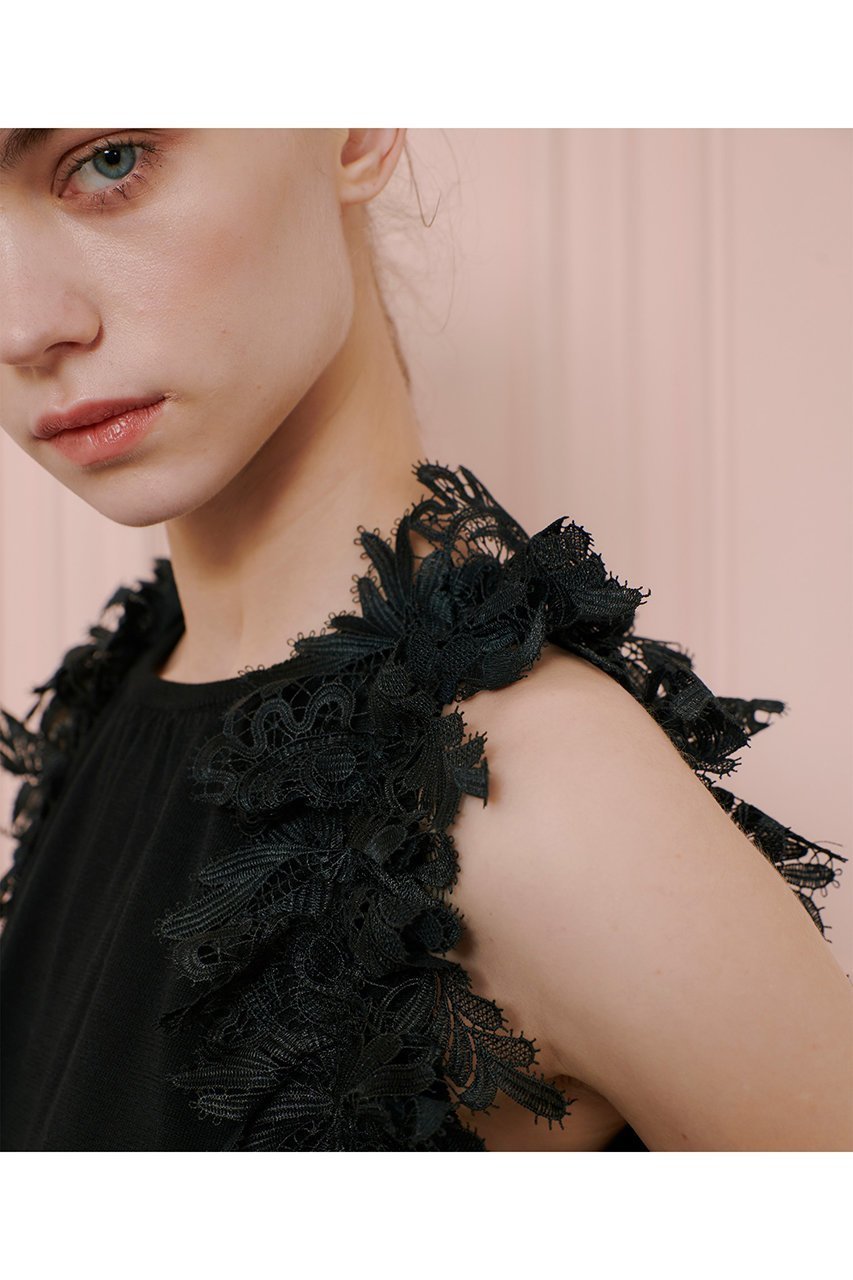 【アルアバイル/allureville】の【LOULOU WILLOUGHBY】アームレースプルオーバー 人気、トレンドファッション・服の通販 founy(ファニー) 　ファッション　Fashion　レディースファッション　WOMEN　トップス・カットソー　Tops/Tshirt　キャミソール / ノースリーブ　No Sleeves　シャツ/ブラウス　Shirts/Blouses　プルオーバー　Pullover　アメリカン　American　ギャザー　Gather　スリーブ　Sleeve　ノースリーブ　No Sleeve　レース　Race　夏　Summer　other-6|ID: prp329100004456430 ipo3291000000031324174