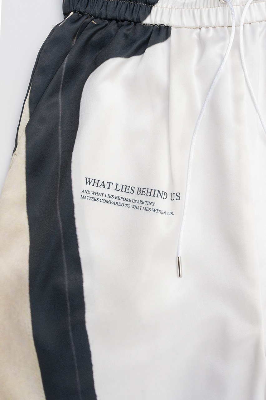 【プランク プロジェクト/PRANK PROJECT】のアートプリントパンツ / Art Print Pants 人気、トレンドファッション・服の通販 founy(ファニー) 　ファッション　Fashion　レディースファッション　Fashion for Women　パンツ　Pants & Trousers　サテン　Satin, Glossy Fabric　タンク　Tank Top, Sleeveless Top　プリント　Print, Printed Pattern　リラックス　Relax, Relaxed Fit　other-7|ID: prp329100004468868 ipo3291000000035680256