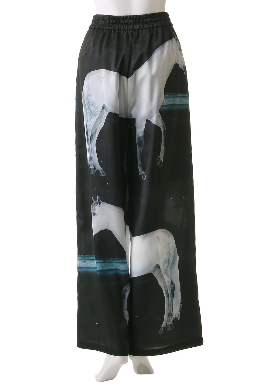 【プランク プロジェクト/PRANK PROJECT】のホースプリントパンツ / Horse Print Pants 人気、トレンドファッション・服の通販 founy(ファニー) ファッション Fashion レディースファッション Fashion for Women パンツ Pants & Trousers サテン Satin, Glossy Fabric タンク Tank Top, Sleeveless Top プリント Print, Printed Pattern リラックス Relax, Relaxed Fit other-4|ID: prp329100004468869 ipo3291000000034422947