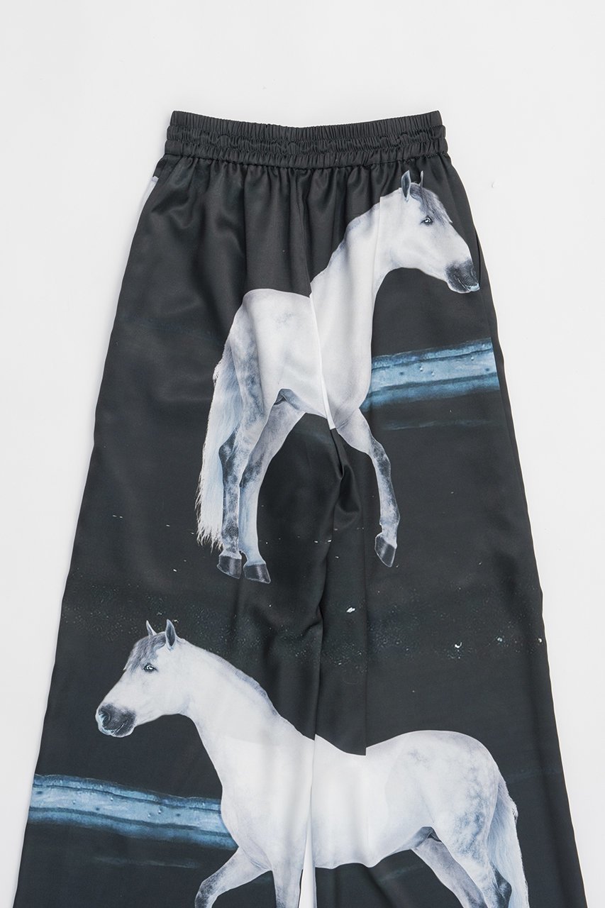 【プランク プロジェクト/PRANK PROJECT】のホースプリントパンツ / Horse Print Pants 人気、トレンドファッション・服の通販 founy(ファニー) ファッション Fashion レディースファッション Fashion for Women パンツ Pants & Trousers サテン Satin, Glossy Fabric タンク Tank Top, Sleeveless Top プリント Print, Printed Pattern リラックス Relax, Relaxed Fit other-6|ID: prp329100004468869 ipo3291000000034422949