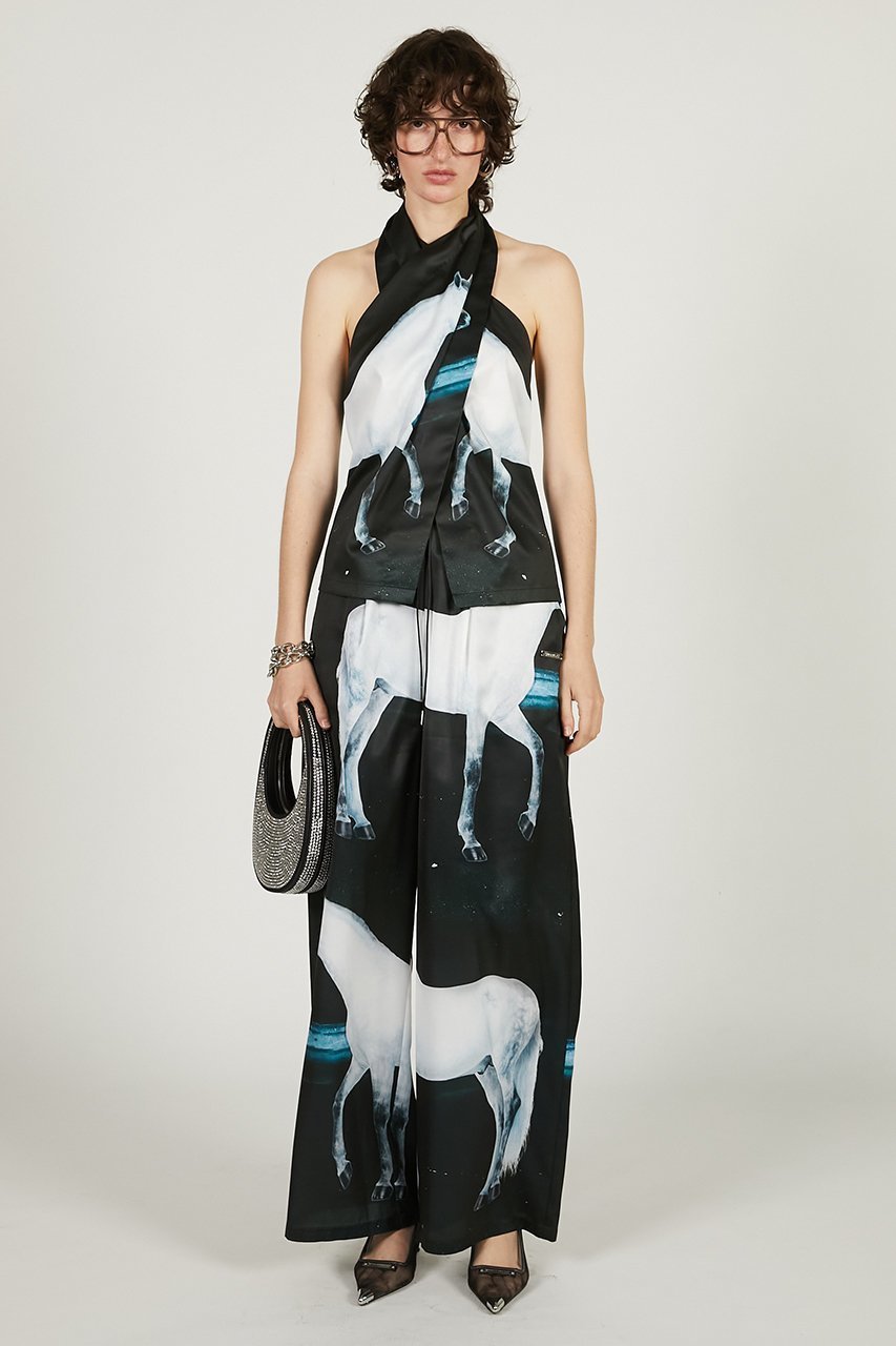 【プランク プロジェクト/PRANK PROJECT】のホースプリントパンツ / Horse Print Pants 人気、トレンドファッション・服の通販 founy(ファニー) ファッション Fashion レディースファッション Fashion for Women パンツ Pants & Trousers サテン Satin, Glossy Fabric タンク Tank Top, Sleeveless Top プリント Print, Printed Pattern リラックス Relax, Relaxed Fit other-8|ID: prp329100004468869 ipo3291000000034422951