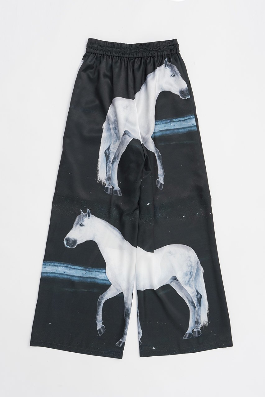 【プランク プロジェクト/PRANK PROJECT】のホースプリントパンツ / Horse Print Pants 人気、トレンドファッション・服の通販 founy(ファニー) 　ファッション　Fashion　レディースファッション　Fashion for Women　パンツ　Pants & Trousers　サテン　Satin, Glossy Fabric　タンク　Tank Top, Sleeveless Top　プリント　Print, Printed Pattern　リラックス　Relax, Relaxed Fit　other-7|ID: prp329100004468869 ipo3291000000036067647