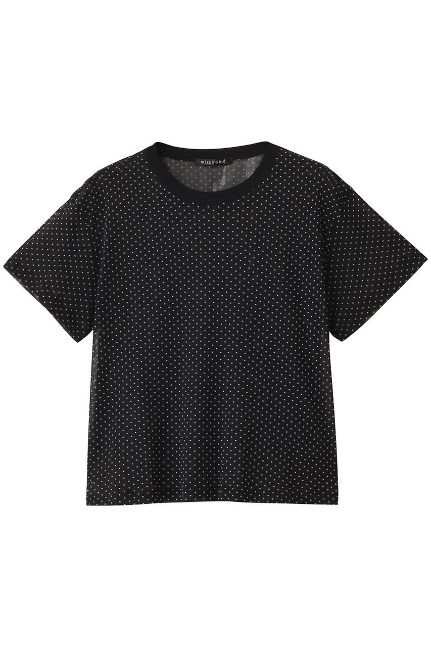 【ミズイロ インド/mizuiro ind】のmesh dot c/neck T Tシャツ インテリア・キッズ・メンズ・レディースファッション・服の通販 founy(ファニー) 　ファッション　Fashion　レディースファッション　Fashion for Women　トップス・カットソー　Cut & Sew Tops　シャツ・ブラウス・オフィスカジュアル　Elegant Blouses & Button-Ups　ロングTシャツ・Tシャツ　Longline T-Shirts & Tees　カットソー・ベーシックTシャツ　Cut-and-Sewn Tops / Stretch Tees & Basics　インナー　Innerwear　シアー　Sheer, See-Through　ショート　Short, Short Length　シンプル　Simple, Minimal　スリーブ　Sleeve, Long Sleeve / Short Sleeve　ドット　Polka Dot, Dot Pattern　メッシュ　Mesh, Net Fabric　夏　Summer　春　Spring　S/S・春夏　SS, Spring/Summer, Warm Season　black|ID: prp329100004468929 ipo3291000000032648732