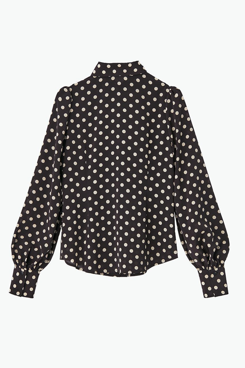 【デイジーリン/DAISY LIN】のBlouse “Dots Lady” 人気、トレンドファッション・服の通販 founy(ファニー) 　ファッション　Fashion　レディースファッション　Fashion for Women　トップス・カットソー　Cut & Sew Tops　シャツ・ブラウス・オフィスカジュアル　Elegant Blouses & Button-Ups　おすすめ　Recommended / Our Picks　ウォッシャブル　Machine Washable　エレガント 上品　Elegant　シルク　Silk, 100% Silk　スリーブ　Sleeve, Long Sleeve / Short Sleeve　ドット　Polka Dot, Dot Pattern　モダン　Modern, Contemporary　ロング　Long, Long-Length　人気　Popular, Best Seller　other-2|ID: prp329100004468986 ipo3291000000032843192