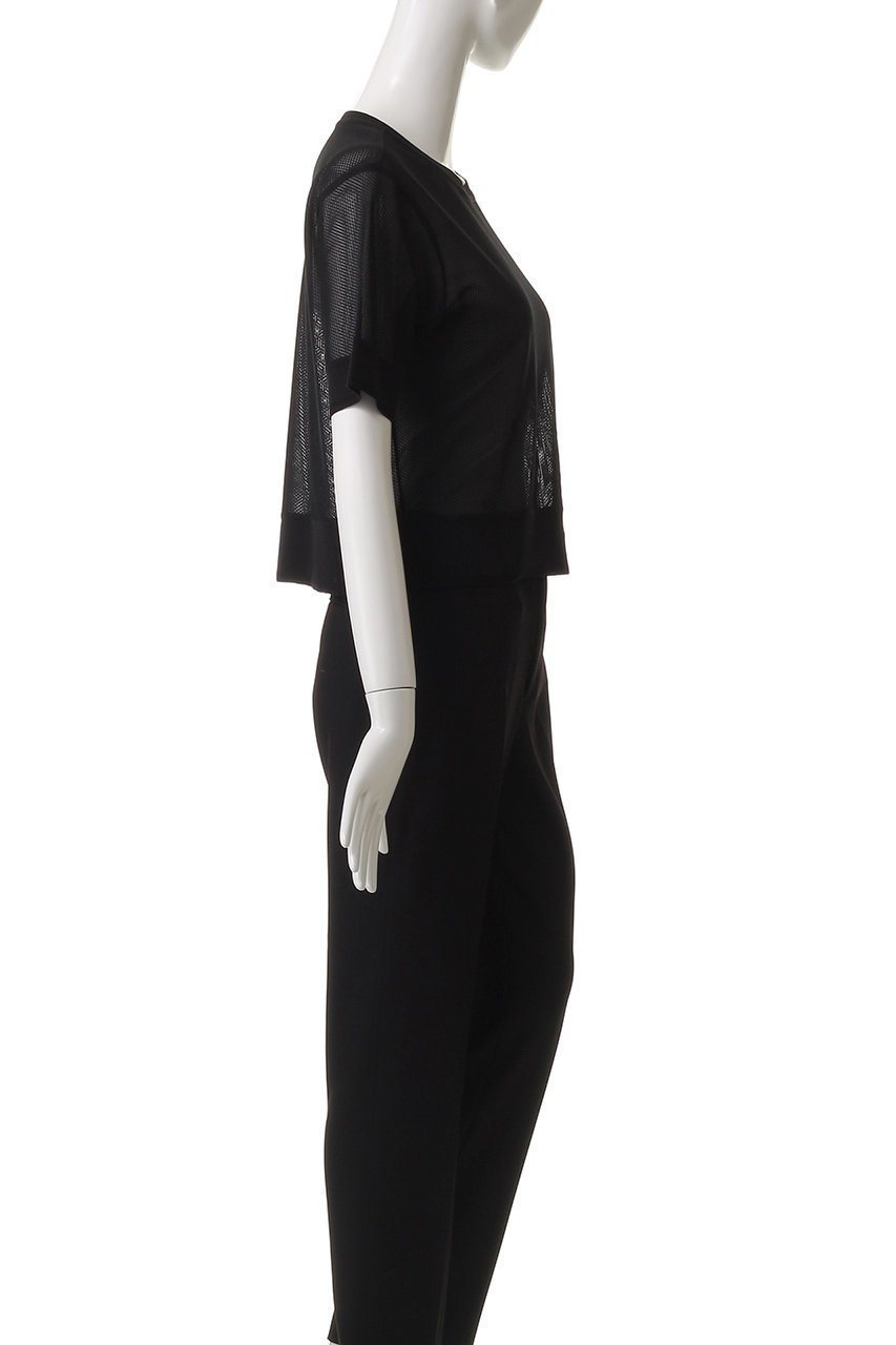 【アナイ/ANAYI】のラッセルメッシュプルオーバー 人気、トレンドファッション・服の通販 founy(ファニー) 　ファッション　Fashion　レディースファッション　Fashion for Women　トップス・カットソー　Cut & Sew Tops　シャツ・ブラウス・オフィスカジュアル　Elegant Blouses & Button-Ups　ロングTシャツ・Tシャツ　Longline T-Shirts & Tees　カジュアルプルオーバー・ニットトップス　Pullovers & Knit Tops / Casual Pullovers　カットソー・ベーシックTシャツ　Cut-and-Sewn Tops / Stretch Tees & Basics　アクリル　Acrylic Material　ショート　Short, Short Length　シンプル　Simple, Minimal　スリーブ　Sleeve, Long Sleeve / Short Sleeve　トレンド　Trend, Trending Now　バランス　Balance, Style Balance　ベーシック　Basic, Essential　メッシュ　Mesh, Net Fabric　ラッセル　Raschel, Raschel Lace　夏　Summer　other-3|ID: prp329100004474975 ipo3291000000032844627