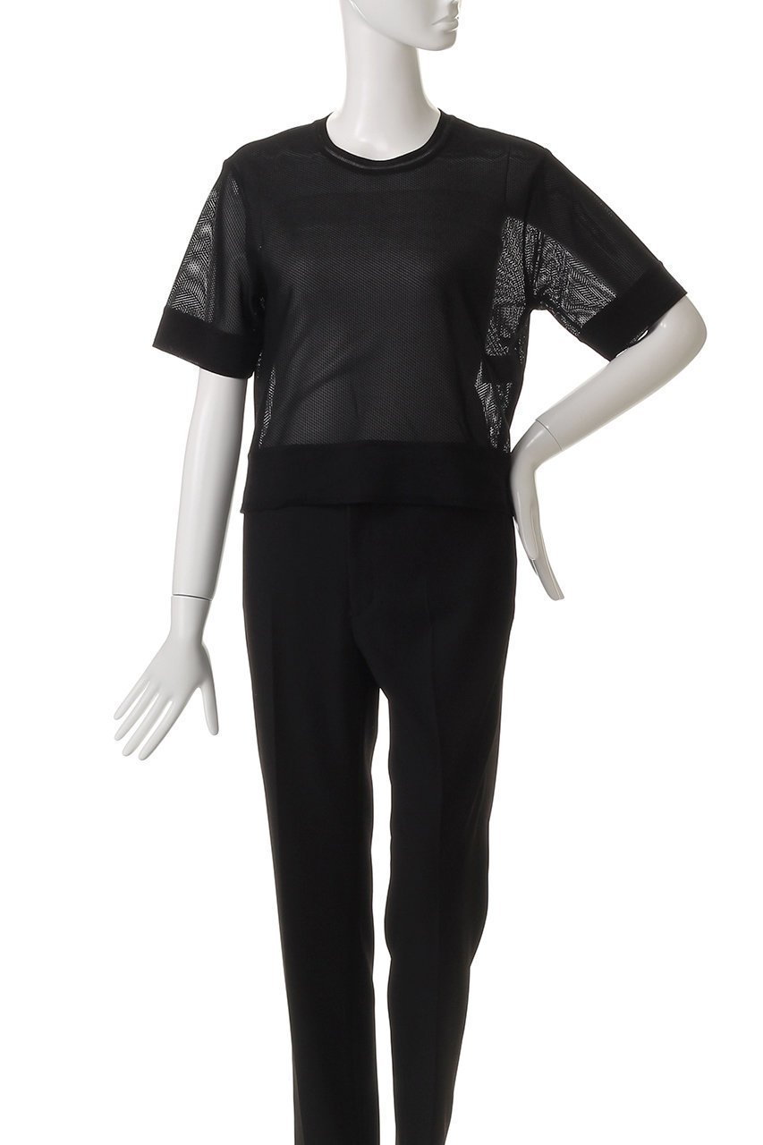 【アナイ/ANAYI】のラッセルメッシュプルオーバー 人気、トレンドファッション・服の通販 founy(ファニー) 　ファッション　Fashion　レディースファッション　Fashion for Women　トップス・カットソー　Cut & Sew Tops　シャツ・ブラウス・オフィスカジュアル　Elegant Blouses & Button-Ups　ロングTシャツ・Tシャツ　Longline T-Shirts & Tees　カジュアルプルオーバー・ニットトップス　Pullovers & Knit Tops / Casual Pullovers　カットソー・ベーシックTシャツ　Cut-and-Sewn Tops / Stretch Tees & Basics　アクリル　Acrylic Material　ショート　Short, Short Length　シンプル　Simple, Minimal　スリーブ　Sleeve, Long Sleeve / Short Sleeve　トレンド　Trend, Trending Now　バランス　Balance, Style Balance　ベーシック　Basic, Essential　メッシュ　Mesh, Net Fabric　ラッセル　Raschel, Raschel Lace　再入荷　Restock / Back in Stock　夏　Summer　other-2|ID: prp329100004474975 ipo3291000000035053404