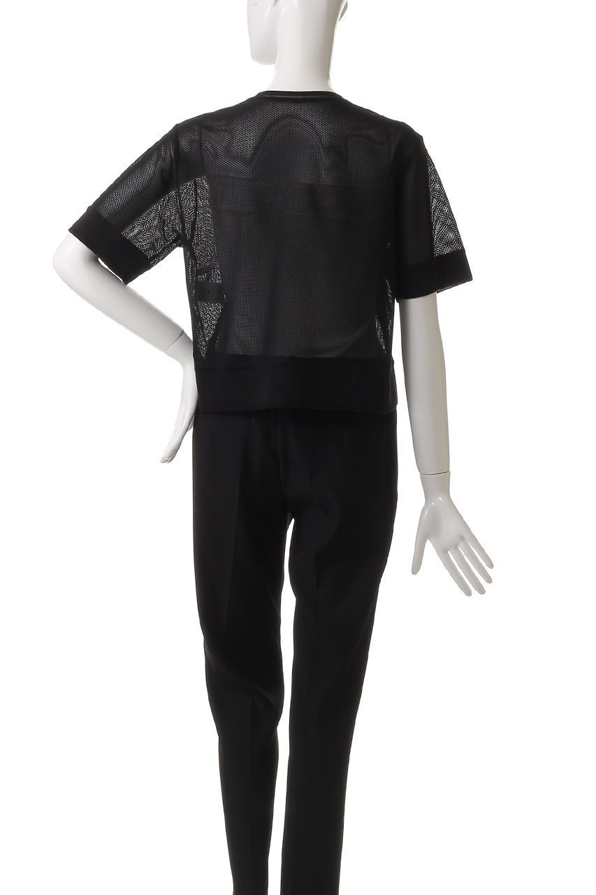 【アナイ/ANAYI】のラッセルメッシュプルオーバー 人気、トレンドファッション・服の通販 founy(ファニー) 　ファッション　Fashion　レディースファッション　Fashion for Women　トップス・カットソー　Cut & Sew Tops　シャツ・ブラウス・オフィスカジュアル　Elegant Blouses & Button-Ups　ロングTシャツ・Tシャツ　Longline T-Shirts & Tees　カジュアルプルオーバー・ニットトップス　Pullovers & Knit Tops / Casual Pullovers　カットソー・ベーシックTシャツ　Cut-and-Sewn Tops / Stretch Tees & Basics　アクリル　Acrylic Material　ショート　Short, Short Length　シンプル　Simple, Minimal　スリーブ　Sleeve, Long Sleeve / Short Sleeve　トレンド　Trend, Trending Now　バランス　Balance, Style Balance　ベーシック　Basic, Essential　メッシュ　Mesh, Net Fabric　ラッセル　Raschel, Raschel Lace　再入荷　Restock / Back in Stock　夏　Summer　other-4|ID: prp329100004474975 ipo3291000000035053406