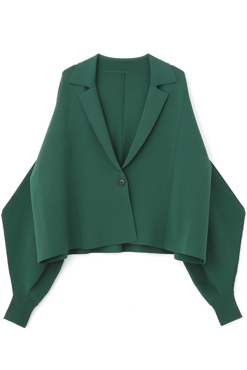 【アドーア/ADORE】のフォルムドスリーブニット インテリア・キッズ・メンズ・レディースファッション・服の通販 founy(ファニー) 　ファッション　Fashion　レディースファッション　WOMEN　トップス・カットソー　Tops/Tshirt　ニット　Knit Tops　プルオーバー　Pullover　バランス　Balance　フォルム　Form　グリーン|ID: prp329100004477211 ipo3291000000031961215