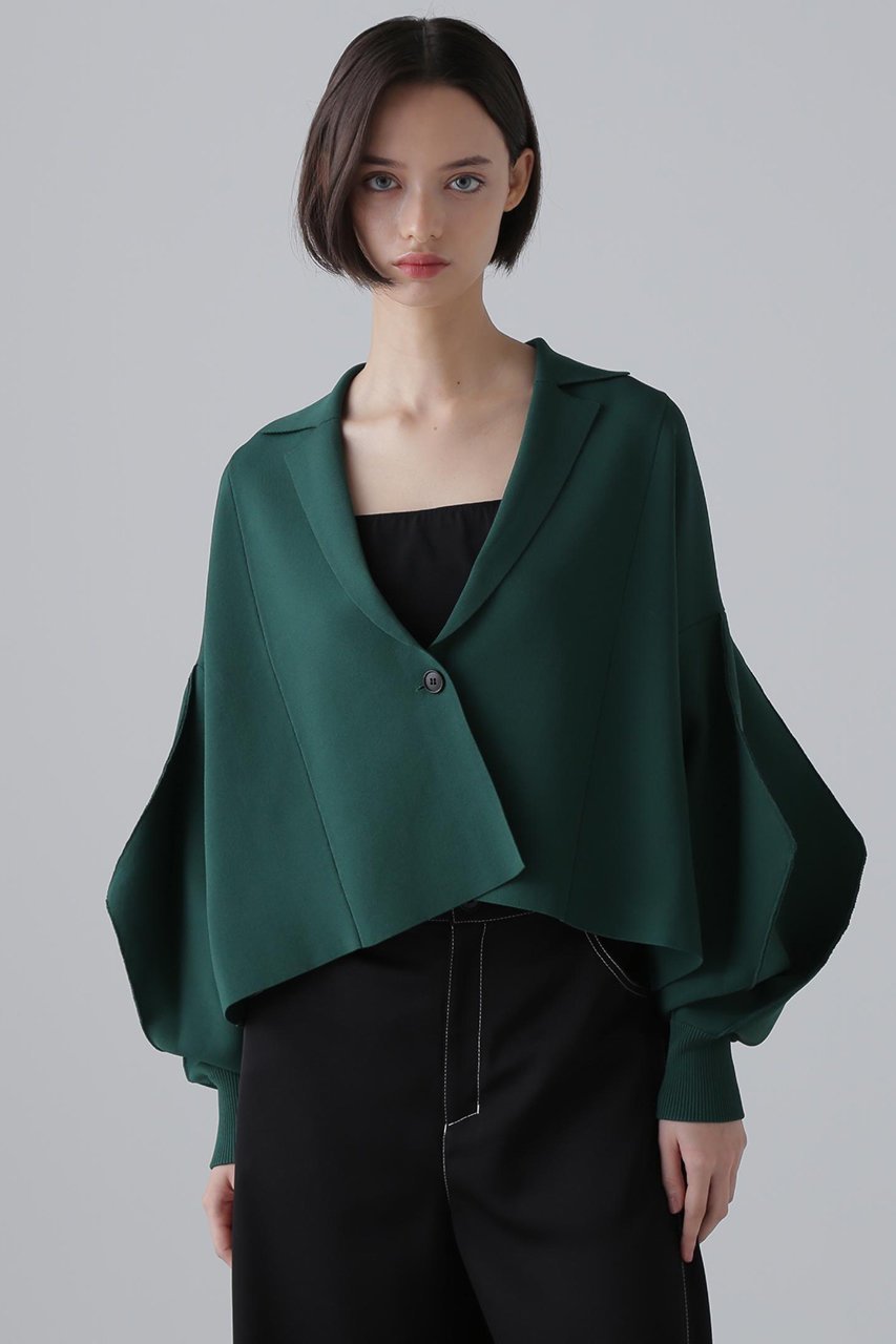 【アドーア/ADORE】のフォルムドスリーブニット 人気、トレンドファッション・服の通販 founy(ファニー) 　ファッション　Fashion　レディースファッション　WOMEN　トップス・カットソー　Tops/Tshirt　ニット　Knit Tops　プルオーバー　Pullover　バランス　Balance　フォルム　Form　other-2|ID: prp329100004477211 ipo3291000000031974472