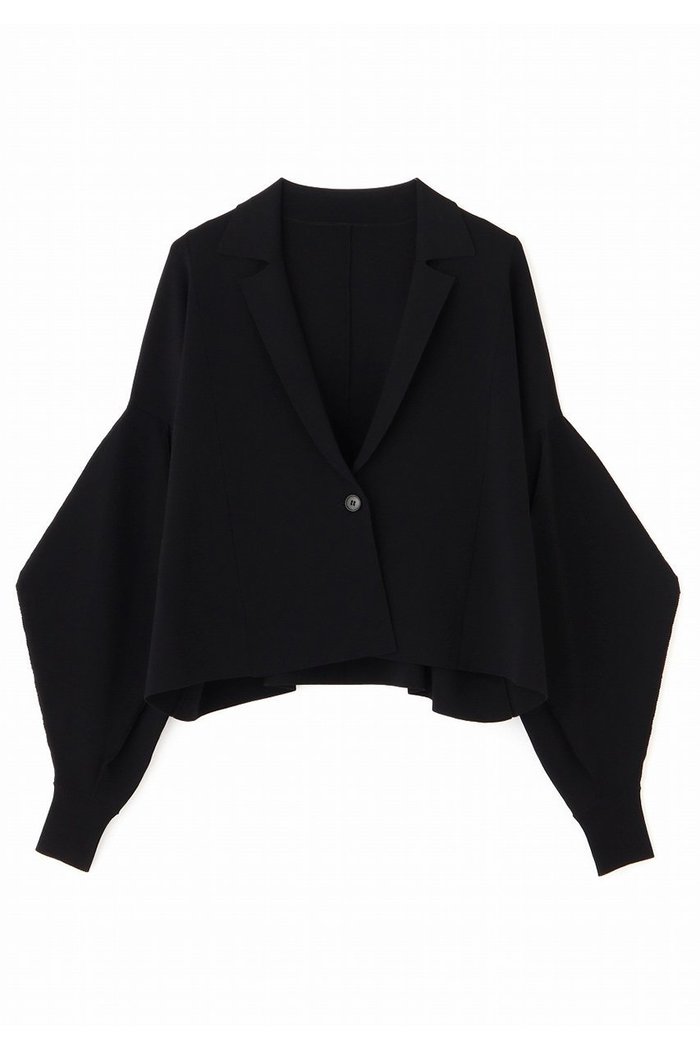 【アドーア/ADORE】のフォルムドスリーブニット インテリア・キッズ・メンズ・レディースファッション・服の通販 founy(ファニー) https://founy.com/ ファッション Fashion レディースファッション Fashion for Women トップス・カットソー Cut & Sew Tops ニット Knit Tops & Sweaters カジュアルプルオーバー・ニットトップス Pullovers & Knit Tops / Casual Pullovers バランス Balance, Style Balance フォルム Silhouette, Form |ID: prp329100004477211 ipo3291000000032925742