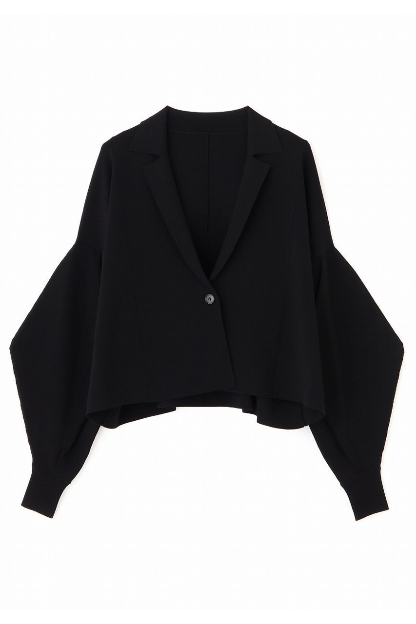 【アドーア/ADORE】のフォルムドスリーブニット 人気、トレンドファッション・服の通販 founy(ファニー) 　ファッション　Fashion　レディースファッション　Fashion for Women　トップス・カットソー　Cut & Sew Tops　ニット　Knit Tops & Sweaters　カジュアルプルオーバー・ニットトップス　Pullovers & Knit Tops / Casual Pullovers　バランス　Balance, Style Balance　フォルム　Silhouette, Form　 other-1|ID: prp329100004477211 ipo3291000000032925742