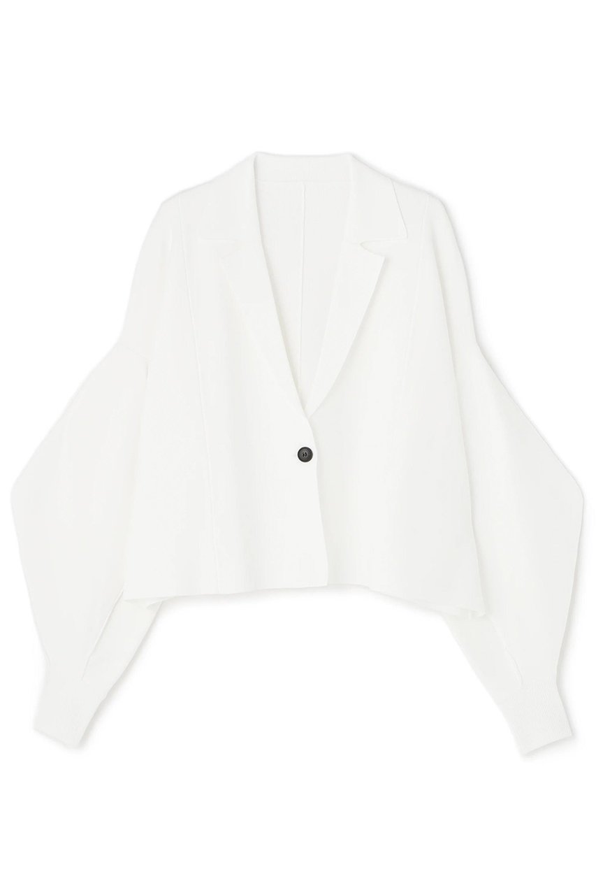 【アドーア/ADORE】のフォルムドスリーブニット インテリア・キッズ・メンズ・レディースファッション・服の通販 founy(ファニー) ファッション Fashion レディースファッション Fashion for Women トップス・カットソー Cut & Sew Tops ニット Knit Tops & Sweaters カジュアルプルオーバー・ニットトップス Pullovers & Knit Tops / Casual Pullovers バランス Balance, Style Balance フォルム Silhouette, Form 再入荷 Restock / Back in Stock ホワイト|ID: prp329100004477211 ipo3291000000034990681