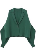 【アドーア/ADORE】のフォルムドスリーブニット グリーン|ID:prp329100004477211