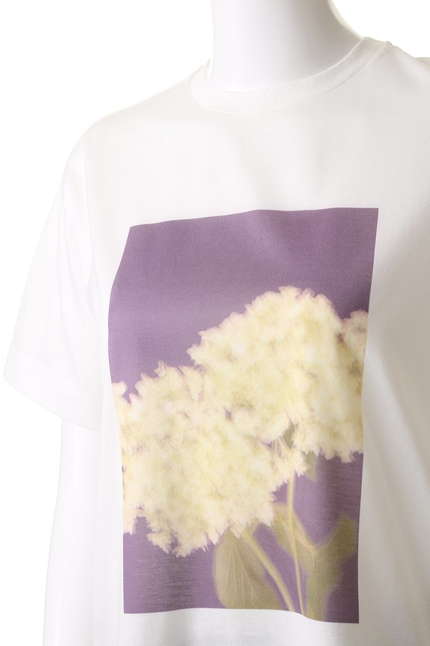 【ベイジ,/BEIGE,】のPENTAS(ペンタス)/オリジナルフォトプリントTシャツ 人気、トレンドファッション・服の通販 founy(ファニー) 　ファッション　Fashion　レディースファッション　Fashion for Women　トップス・カットソー　Cut & Sew Tops　シャツ・ブラウス・オフィスカジュアル　Elegant Blouses & Button-Ups　ロングTシャツ・Tシャツ　Longline T-Shirts & Tees　カットソー・ベーシックTシャツ　Cut-and-Sewn Tops / Stretch Tees & Basics　カットソー　Cut and Sewn Top　ショート　Short, Short Length　スリーブ　Sleeve, Long Sleeve / Short Sleeve　フェミニン　Feminine, Girly　プリント　Print, Printed Pattern　夏　Summer　other-5|ID: prp329100004482994 ipo3291000000032854823