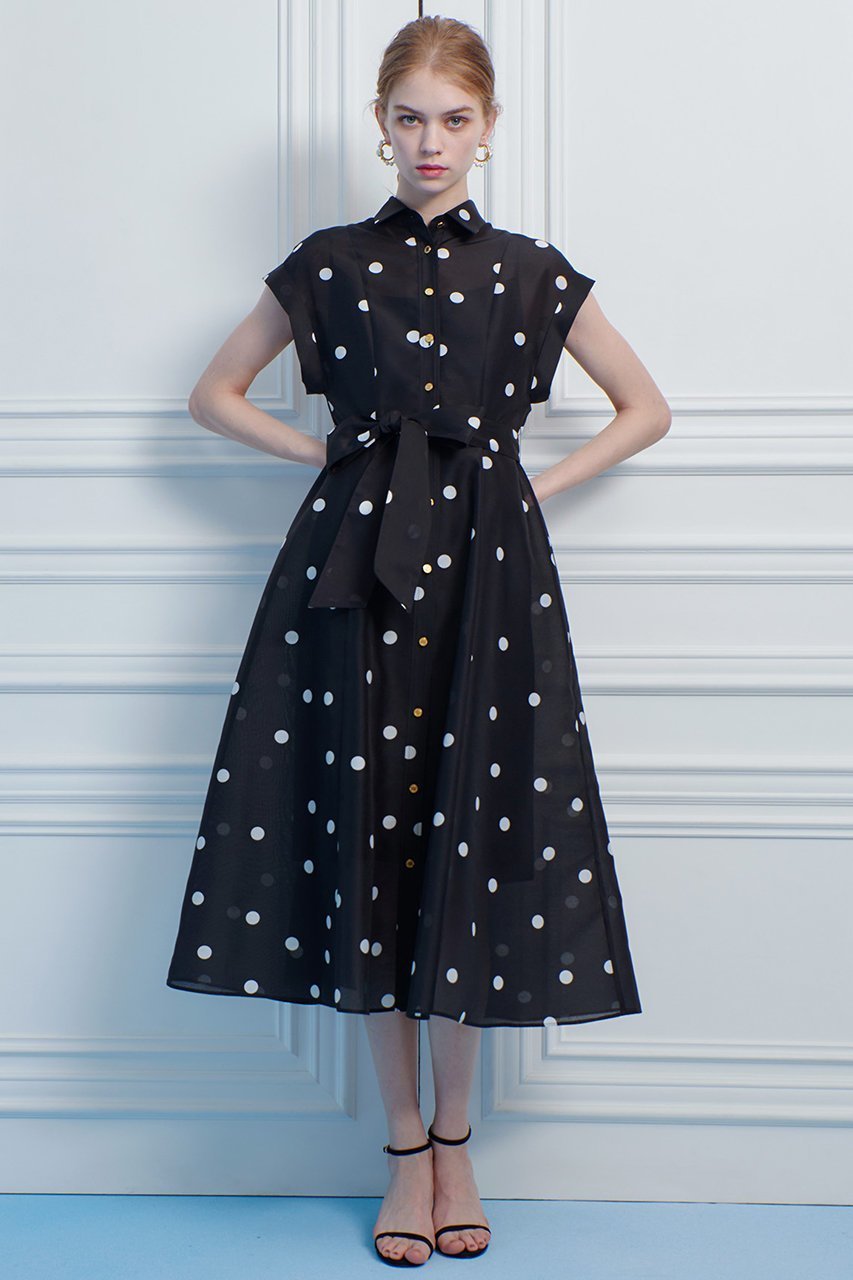 【アルアバイル/allureville】の【LOULOU WILLOUGHBY】オーガンドットウエストリボンワンピース 人気、トレンドファッション・服の通販 founy(ファニー) 　ファッション　Fashion　レディースファッション　Fashion for Women　ワンピース　Dresses　チュニック　Tunic Tops & Dresses　オーガンジー　Organza Fabric　チュニック　Tunic, Long Top　ドット　Polka Dot, Dot Pattern　フィット　Fit, Slim Fit　プリント　Print, Printed Pattern　リボン　Ribbon, Bow　エレガント 上品　Elegant　other-6|ID: prp329100004488851 ipo3291000000032811751