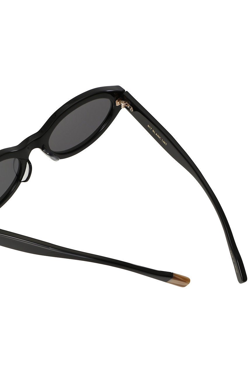 【ブラン/blanc】のBE015 サングラス 人気、トレンドファッション・服の通販 founy(ファニー) 　ファッション　Fashion　レディースファッション　Fashion for Women　サングラス&メガネ　Sunglasses & Eyewear　オーバル　Oval Design　サングラス　Sunglasses, Shades　シェイプ　Shape, Slim Fit　スタイリッシュ　Stylish, Fashionable　フォックス　Fox, Fox Fur　フォルム　Silhouette, Form　フレーム　Frame, Outline　リゾート　Resort, Vacation Style　other-6|ID: prp329100004490685 ipo3291000000033821859