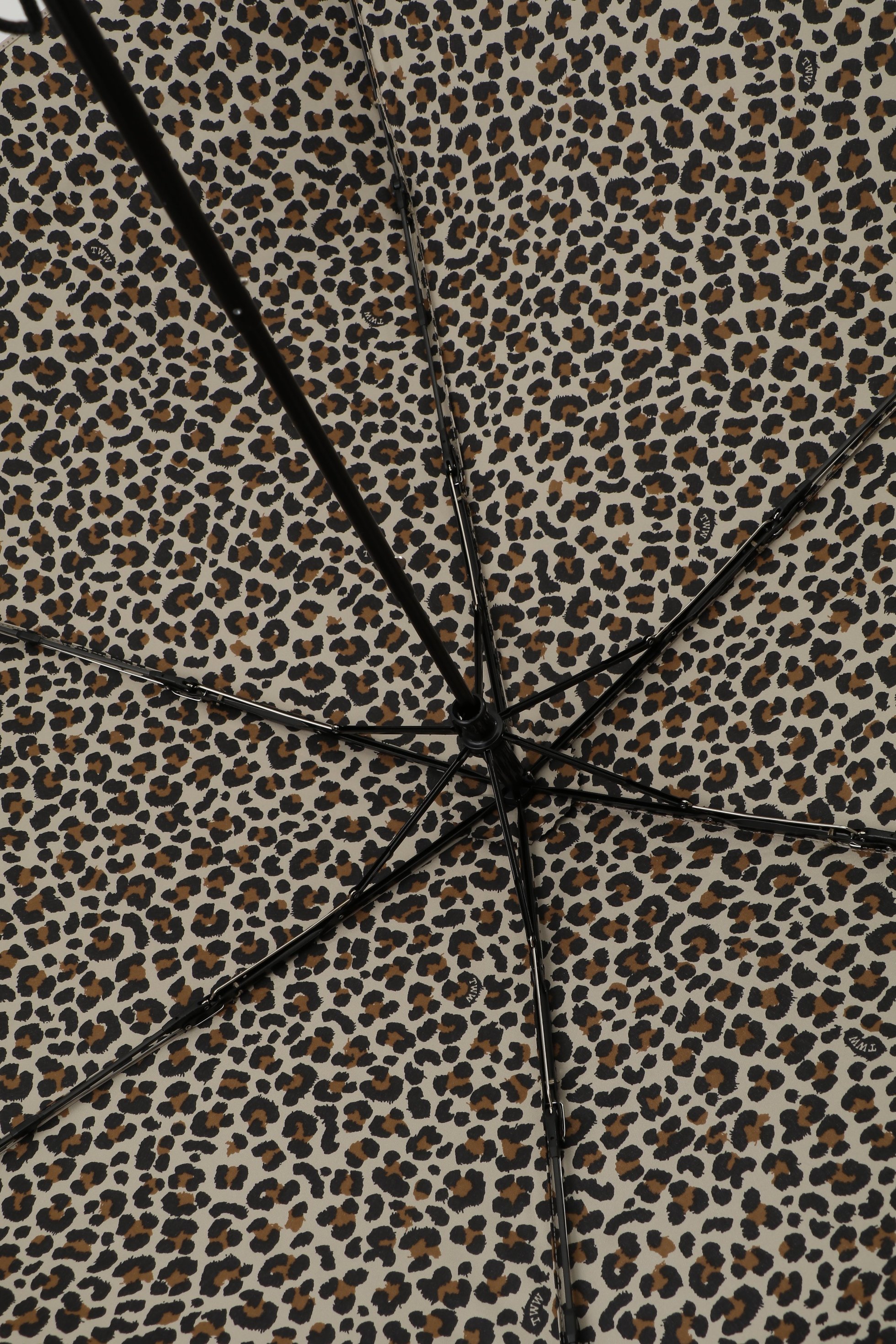 【マルティニーク/martinique】の【Traditional Weatherwear】軽量傘 人気、トレンドファッション・服の通販 founy(ファニー) ファッション Fashion レディースファッション Fashion for Women レイングッズ・傘・晴雨兼用傘 Umbrellas & Rain Gear コンパクト Compact, Small Size ハンカチ Handkerchief, Hanky レオパード Leopard, Animal Print 人気 Popular, Best Seller 傘 Umbrella, Parasol 時計 Watch, Wristwatch 軽量 Lightweight, Ultra Light other-6|ID: prp329100004493387 ipo3291000000036239590