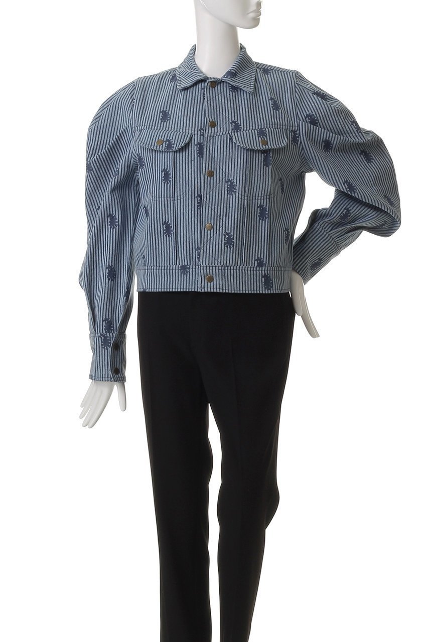 【エスゼット ブロックプリント/SZ Blockprints】のTOKYO JACKET THIN STRIPE PAISLEY デニムジャケット 人気、トレンドファッション・服の通販 founy(ファニー) 　ファッション　Fashion　レディースファッション　Fashion for Women　アウター　Coat / Outerwear Collection　レディースジャケット・軽アウター　Jackets　デニムジャケット / カジュアルアウター　Denim Jackets　コンパクト　Compact, Small Size　ジャケット　Jacket, Outerwear　ストライプ　Stripe, Striped Pattern　スリーブ　Sleeve, Long Sleeve / Short Sleeve　デニム　Denim, Jeans Material　フェミニン　Feminine, Girly　ペイズリー　Paisley, Ethnic Pattern　ロング　Long, Long-Length　other-2|ID: prp329100004506127 ipo3291000000032950172