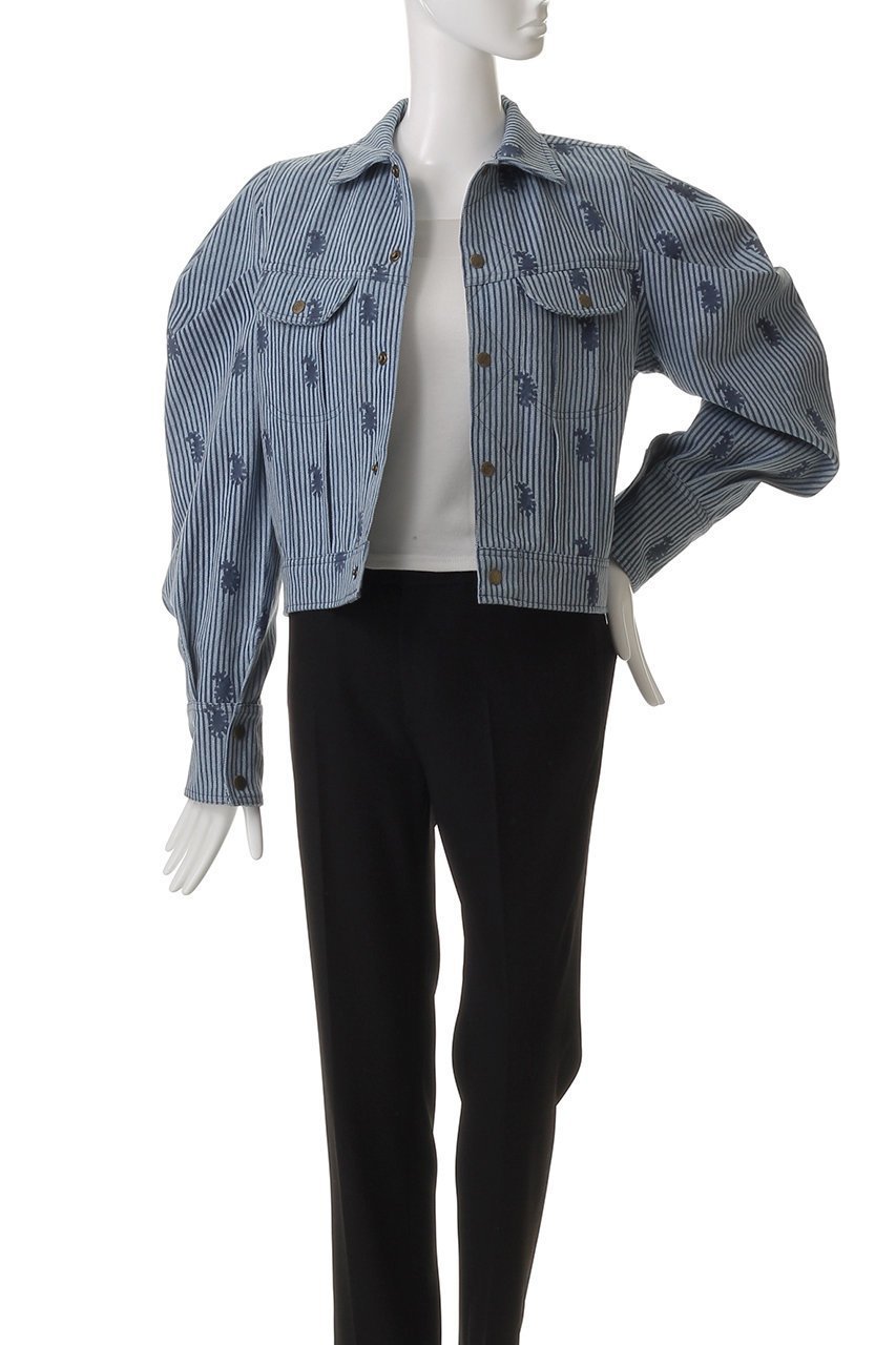 【エスゼット ブロックプリント/SZ Blockprints】のTOKYO JACKET THIN STRIPE PAISLEY デニムジャケット 人気、トレンドファッション・服の通販 founy(ファニー) 　ファッション　Fashion　レディースファッション　Fashion for Women　アウター　Coat / Outerwear Collection　レディースジャケット・軽アウター　Jackets　デニムジャケット / カジュアルアウター　Denim Jackets　コンパクト　Compact, Small Size　ジャケット　Jacket, Outerwear　ストライプ　Stripe, Striped Pattern　スリーブ　Sleeve, Long Sleeve / Short Sleeve　デニム　Denim, Jeans Material　フェミニン　Feminine, Girly　ペイズリー　Paisley, Ethnic Pattern　ロング　Long, Long-Length　other-7|ID: prp329100004506127 ipo3291000000032950197