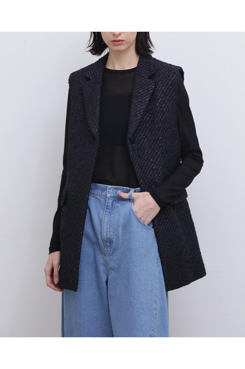 【アドーア/ADORE】のコーティングヤーンツィードジレ 人気、トレンドファッション・服の通販 founy(ファニー) 　ファッション　Fashion　レディースファッション　Ladies' Fashion Online　アウター　Coat Outerwear　ジャケット　Jackets　おすすめ　Recommend　イタリア　Italy　コーティング　Coating　ジャケット　Jacket　スタンダード　Standard　セットアップ　Set Up　ツィード　Tweed　 other-1|ID: prp329100004507867 ipo3291000000031820071
