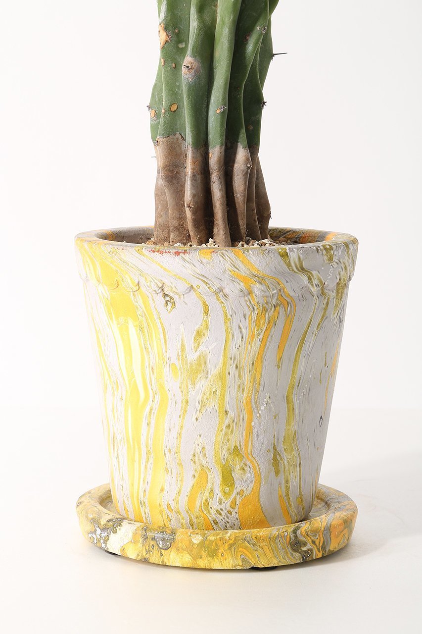 【ザ ファーム ユニバーサル/the Farm UNIVERSAL / GOODS】の竜神木 石化 Lサイズ 人気、トレンドファッション・服の通販 founy(ファニー) 　春　Spring　秋　Autumn　夏　Summer　other-4|ID: prp329100004518611 ipo3291000000035929853