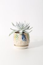 【その他のブランド/Other】のダドレア・ブリトニー「仙女盃」 -|ID: prp329100004518615 ipo3291000000031940477