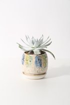thumbnail other-2