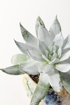 thumbnail other-5