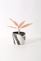 thumbnail other-2