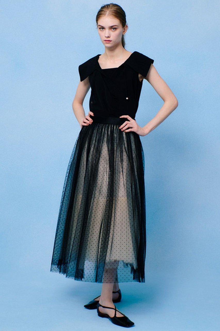 【アルアバイル/allureville】の【LOULOU WILLOUGHBY】ドットチュールスカート 人気、トレンドファッション・服の通販 founy(ファニー) 　ファッション　Fashion　レディースファッション　Fashion for Women　スカート　Skirts　ロングスカート　Long Skirts / Maxi & Midi Skirts　スタンダード　Standard, Basic　チュール　Tulip, Tulip Motif　ドット　Polka Dot, Dot Pattern　ロング　Long, Long-Length　無地　Plain, Solid Color　other-6|ID: prp329100004520324 ipo3291000000032707883