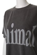 thumbnail other-5
