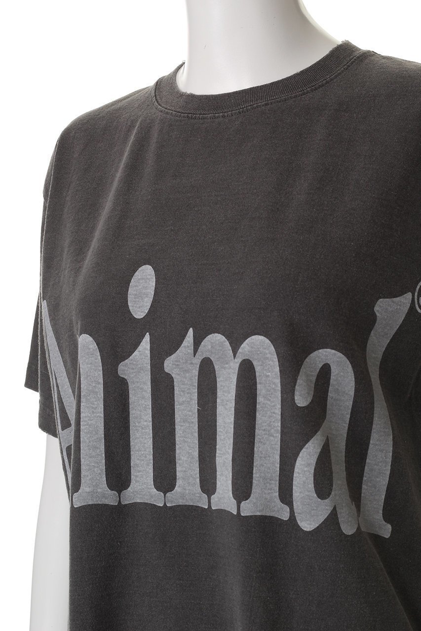 【アールエイチシー ロンハーマン/RHC Ron Herman】の【RHC別注】【STUDIO WE ARE ALL ANIMALS】Animals Letter Tシャツ 人気、トレンドファッション・服の通販 founy(ファニー) 　ファッション　Fashion　レディースファッション　WOMEN　トップス・カットソー　Tops/Tshirt　シャツ/ブラウス　Shirts/Blouses　ロング / Tシャツ　T-Shirts　カットソー　Cut and Sewn　ショート　Short　スリーブ　Sleeve　プリント　Print　別注　Special Order　NEW・新作・新着・新入荷　New Arrivals　other-5|ID: prp329100004522185 ipo3291000000031986714